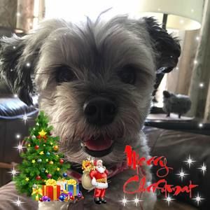 Meet your Posher, France